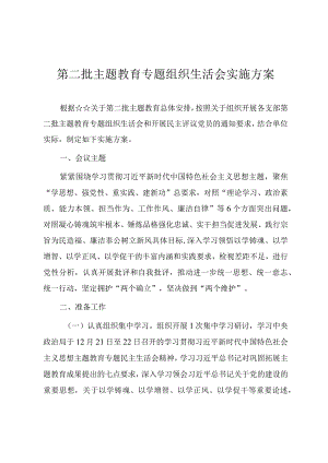 第二批主题教育专题组织生活会实施方案.docx