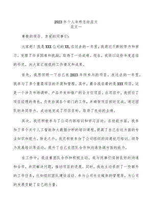 2023年个人年终总结范文.docx