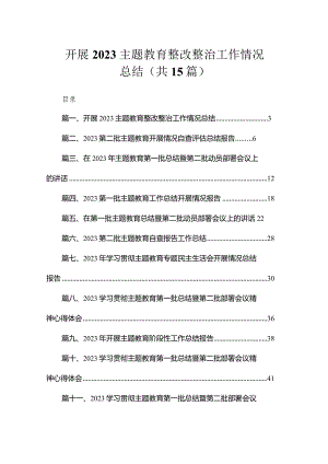 开展2023专题教育整改整治工作情况总结（共15篇）.docx