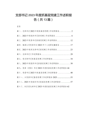 支部书记2023年度抓基层党建工作述职报告13篇（精编版）.docx