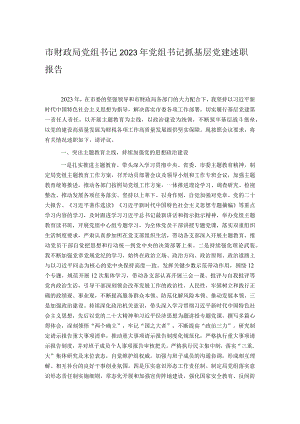 市财政局党组书记2023年党组书记抓基层党建述职报告.docx