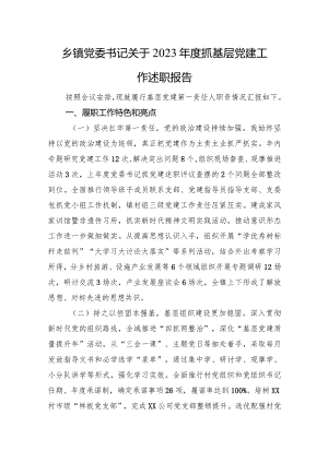 乡镇党委书记关于2023年度抓基层党建工作述职报告.docx