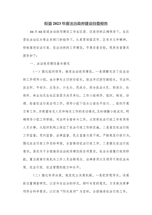 街道2023年度法治政府建设自查报告.docx
