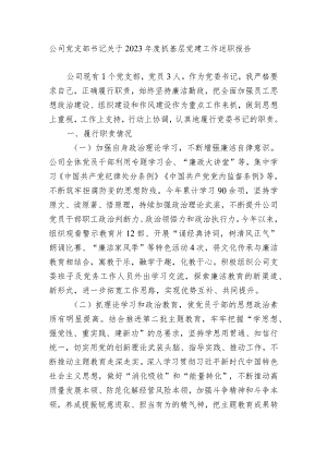 国企公司党支部书记关于2023-2024年度抓基层党建工作述职报告.docx