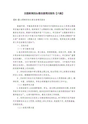 主题教育回头看自查情况报告【六篇】.docx
