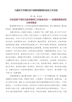 九篇关于开展纪检干部教育整顿阶段性工作总结.docx