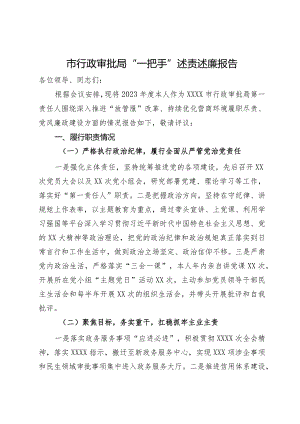 市行政审批局“一把手”述责述廉报告.docx