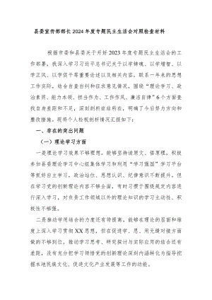 县委宣传部部长2024年度专题民主生活会对照检查材料.docx