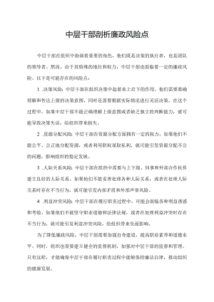 中层干部剖析廉政风险点.docx