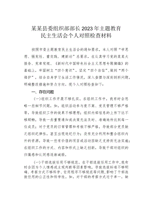某某县委组织部部长2023年主题教育民主生活会个人对照检查材料.docx