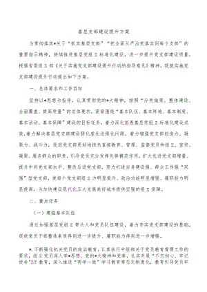 基层支部建设提升方案.docx