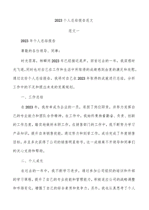 2023个人总结报告范文.docx