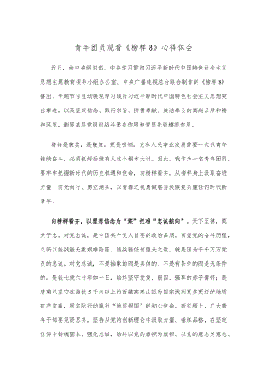 青年团员观看《榜样8》心得体会.docx