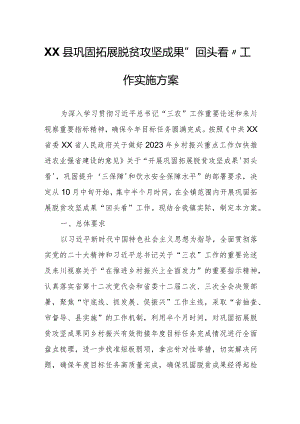 XX县巩固拓展脱贫攻坚成果“回头看”工作实施方案.docx