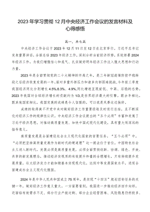 2023年学习贯彻12月中央经济工作会议的发言材料及心得感悟.docx