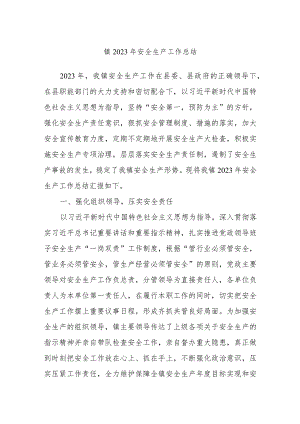 镇2023年安全生产工作总结.docx