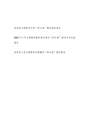 单位党组党委班子2024年第二批开展“回头看”整改情况报告3篇（以学铸魂、以学增智、以学正风、以学促干）.docx