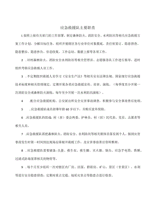 应急救援队主要职责.docx
