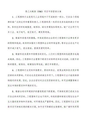 聚己内酰胺（PA6）项目市场营销方案.docx