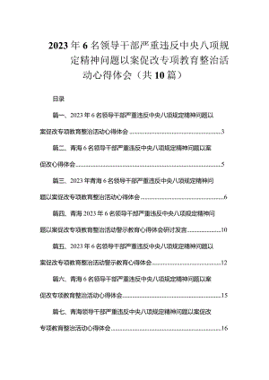 2023年6名领导干部严重违反中央八项规定精神问题以案促改专项教育整治活动心得体会（共10篇）.docx