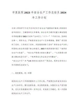 市某医院2023年安全生产工作总结及2024年工作计划.docx