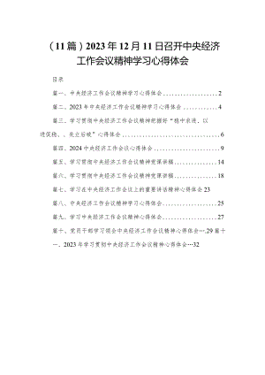 （11篇）2023年12月11日召开中央经济工作会议精神学习心得体会.docx