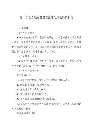 红十字会专项业务费支出部门绩效评价报告.docx