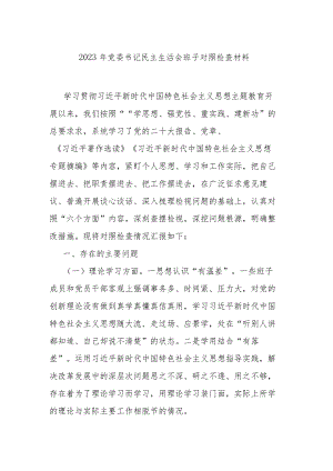 2023年党委书记民主生活会班子对照检查材料.docx