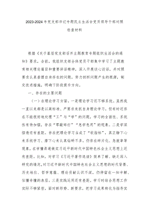 2023-2024年党支部书记专题民主生活会党员领导干部对照检查材料.docx