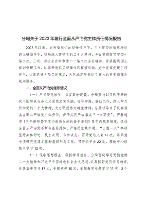 分局关于2023-2024年履行全面从严治党主体责任情况报告.docx