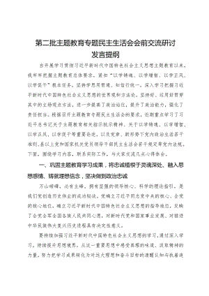 第二批主题教育专题民主生活会会前交流研讨发言提纲.docx