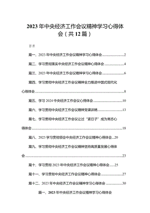 2023年中央经济工作会议精神学习心得体会范文12篇供参考.docx
