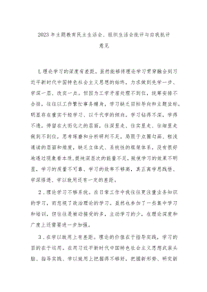 2023年主题教育民主生活会、组织生活会批评与自我批评意见.docx