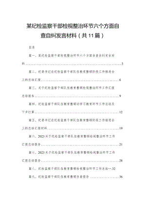 （11篇）某纪检监察干部检视整治环节六个方面自查自纠发言材料范文.docx