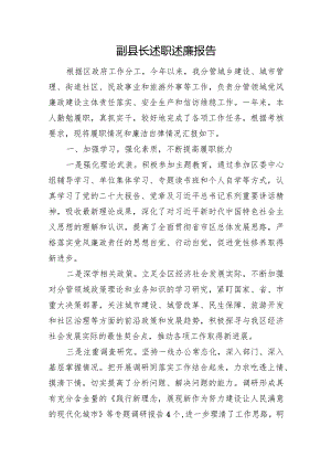 副县长述职述廉报告.docx