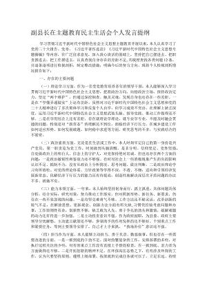 副县长在主题教育民主生活会个人发言提纲.docx