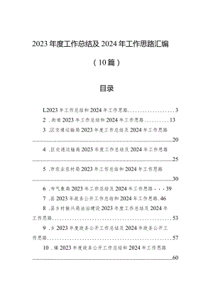 2023年度工作总结及2024年工作思路汇编（10篇）.docx