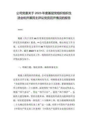 公司党委关于2023年度基层党组织组织生活会和开展民主评议党员召开情况的报告.docx