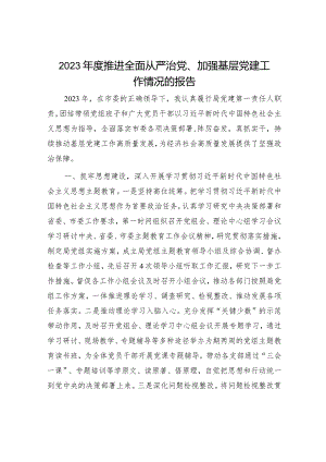 2023年度个人推进全面从严治党、加强基层党建工作情况总结报告.docx