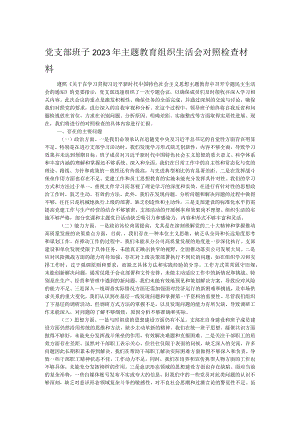 党支部班子2023年主题教育组织生活会对照检查材料.docx