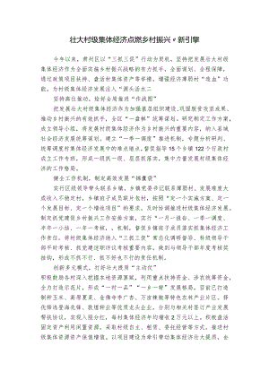 壮大村级集体经济点燃乡村振兴“新引擎.docx