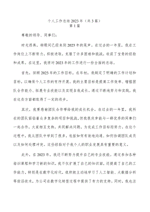 个人工作总结2023年（共3篇）.docx
