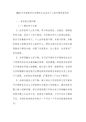 2023年市委副书记专题民主生活会个人的对照检查材料.docx