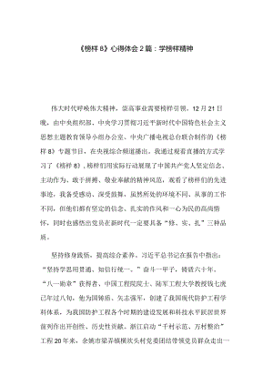 《榜样8》心得体会2篇：学榜样精神.docx
