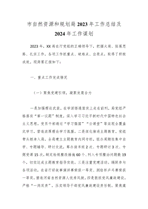 市自然资源和规划局2023年工作总结及2024年工作谋划.docx