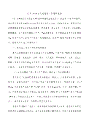 公司2023年党建总结工作述职报告.docx
