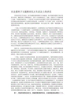 在县委班子主题教育民主生活会上的讲话.docx