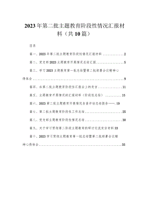 2023年第二批专题阶段性情况汇报材料（共10篇）.docx