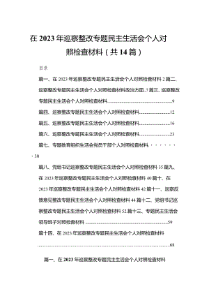 在2023年巡察整改专题民主生活会个人对照检查材料【14篇精选】供参考.docx