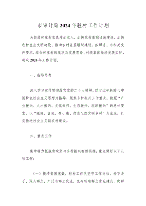 市审计局2024年驻村工作计划.docx